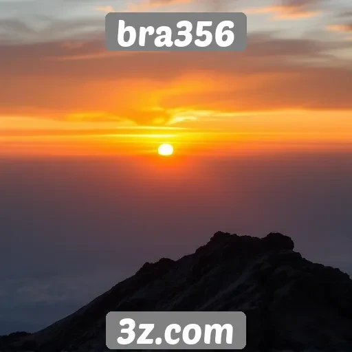 Navegação e usabilidade do site bra356